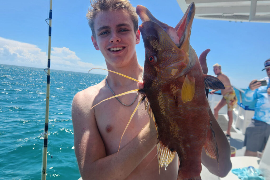 NEARSHORE-hogfish.