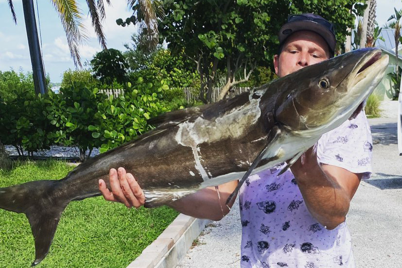 OFFSHORE-cobia