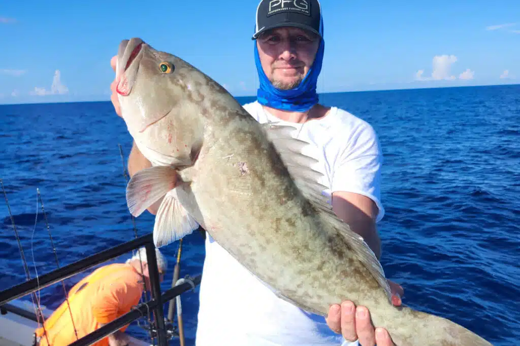 OFFSHORE-gaggrouper (1)