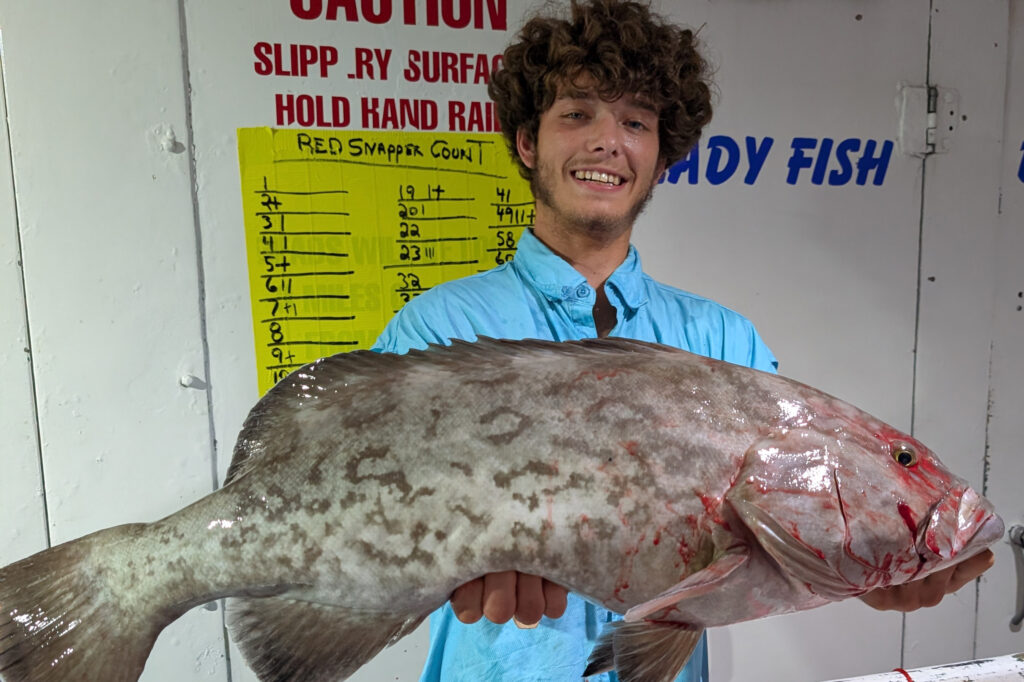 OFFSHORE-gaggrouper (1)