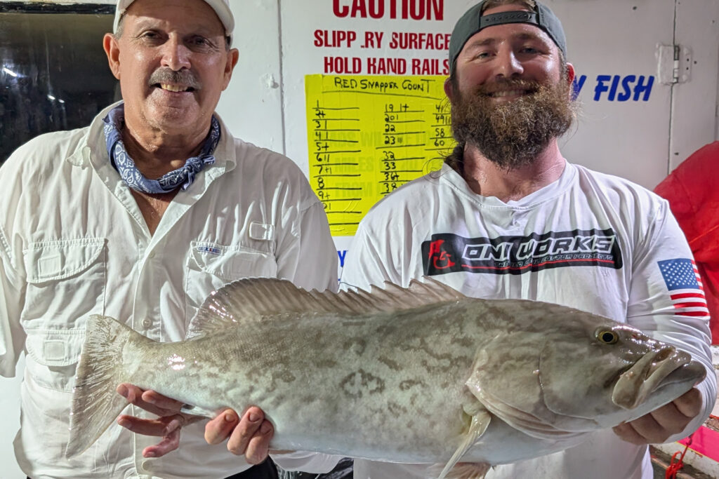 OFFSHORE-gaggrouper