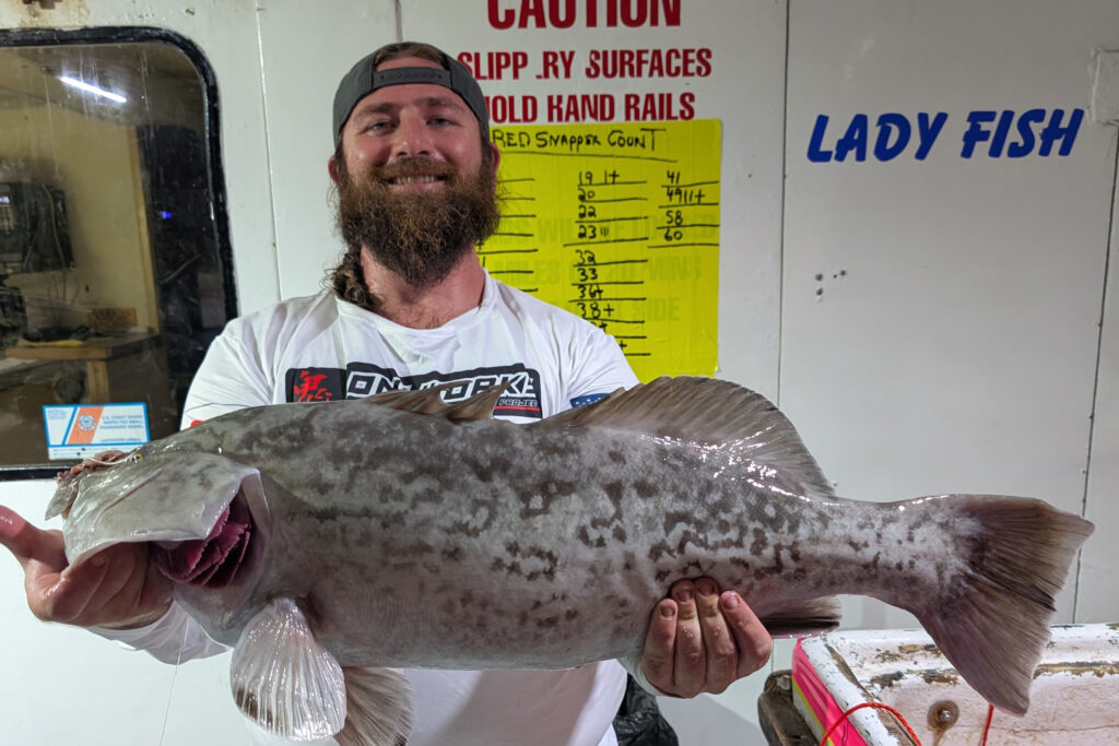 OFFSHORE-gaggrouper (2)
