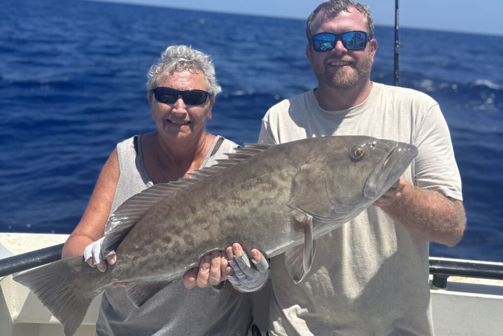 OFFSHORE-gaggrouper (3)