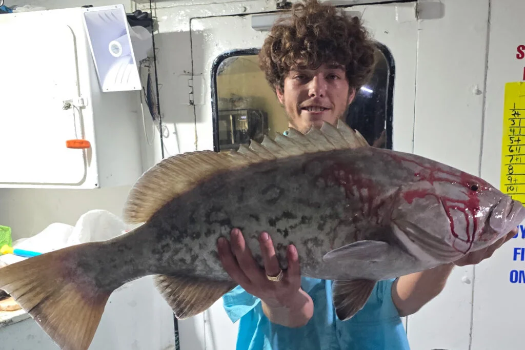 OFFSHORE-gaggrouper