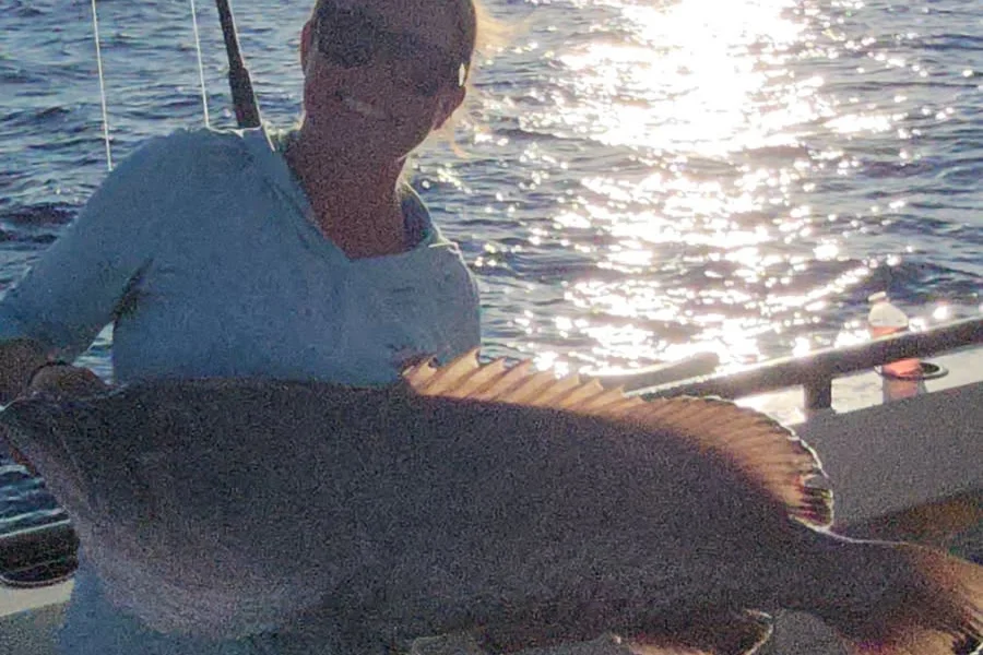 OFFSHORE-gaggrouper
