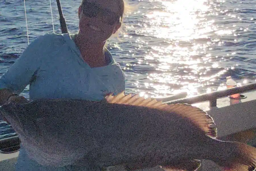 OFFSHORE-gaggrouper
