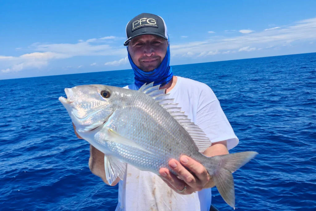 OFFSHORE-porgy