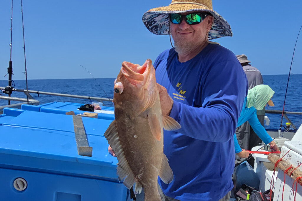 OFFSHORE - red grouper