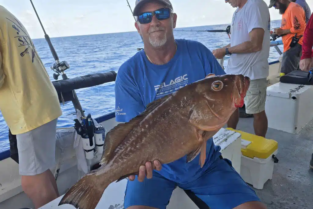 OFFSHORE - red grouper 3
