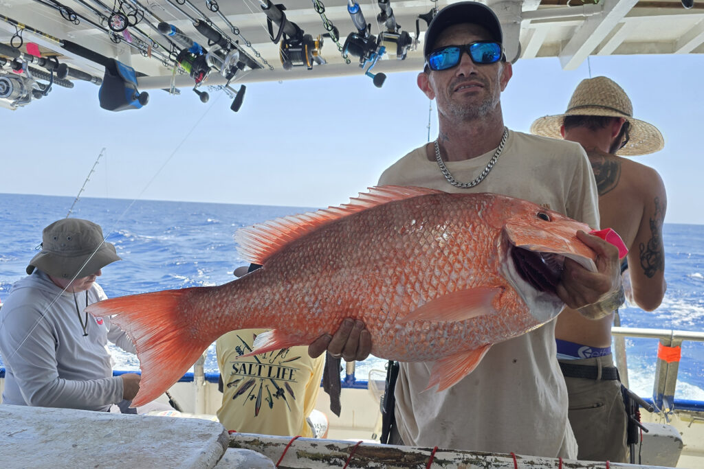 OFFSHORE - red snapper 11