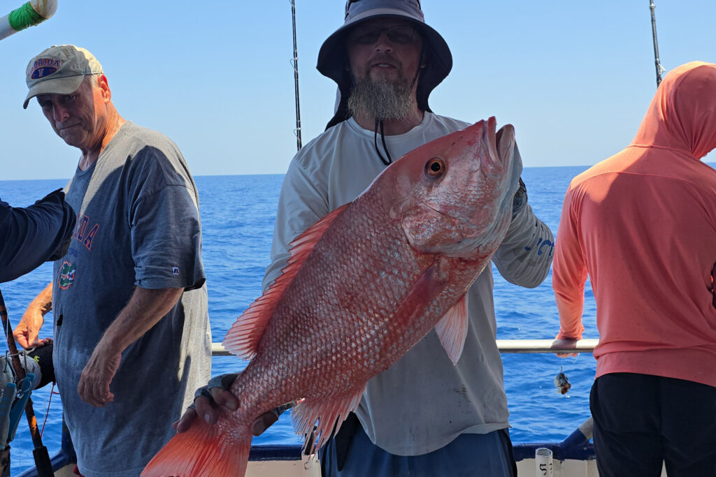 OFFSHORE - red snapper 2