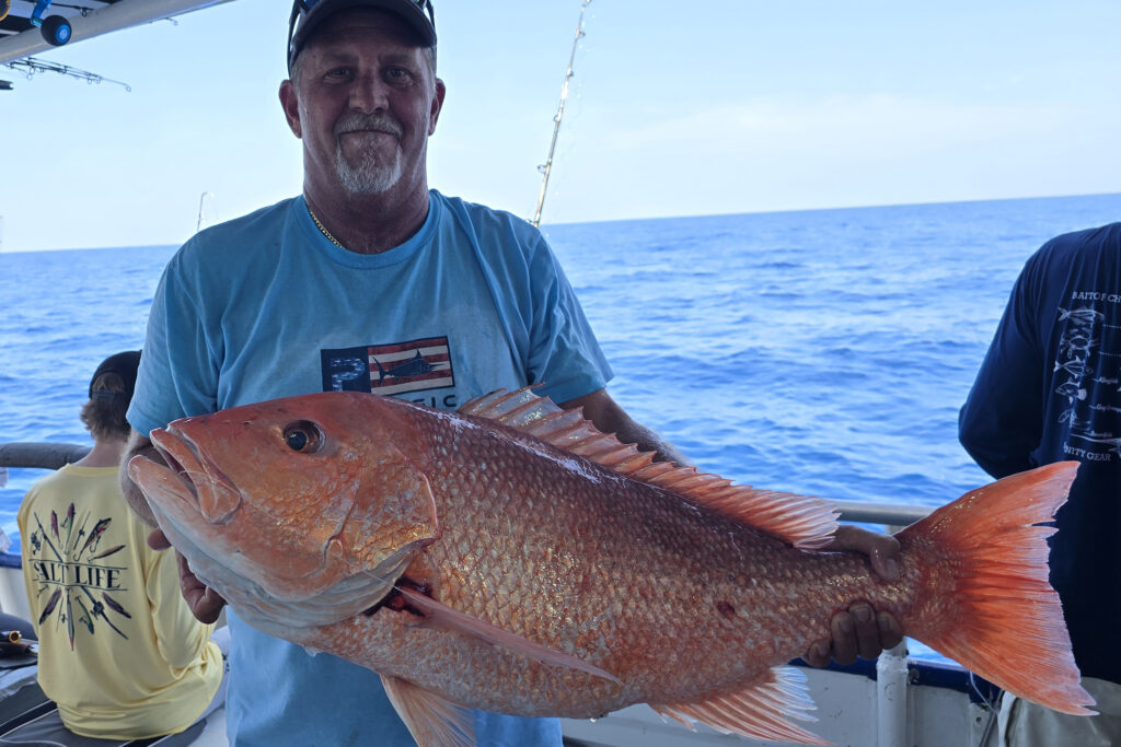 OFFSHORE - red snapper 5