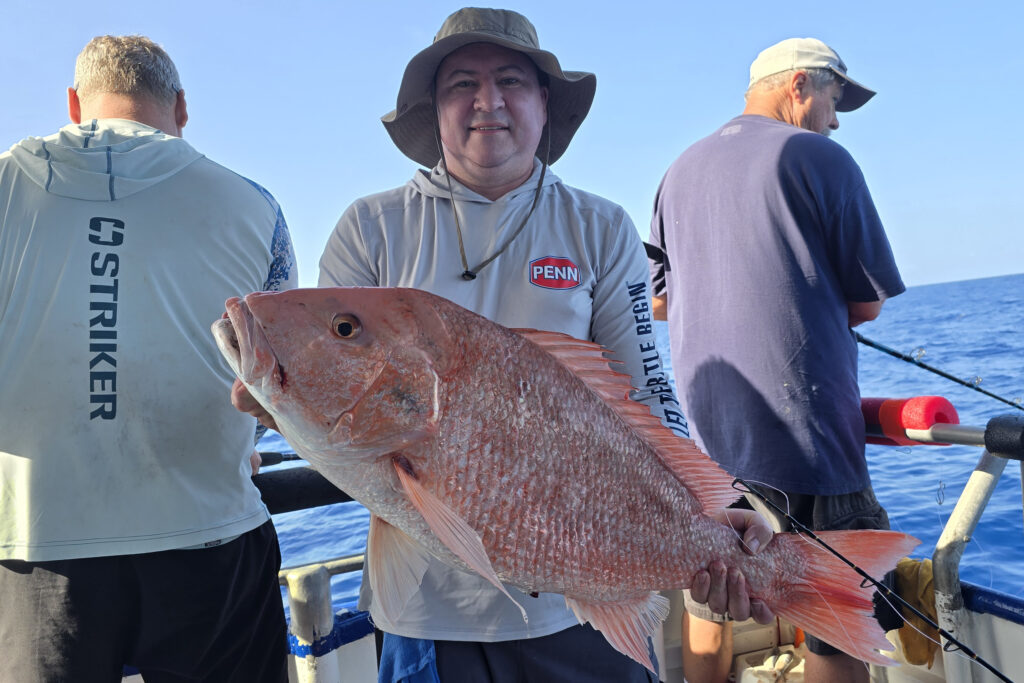 OFFSHORE - red snapper 6