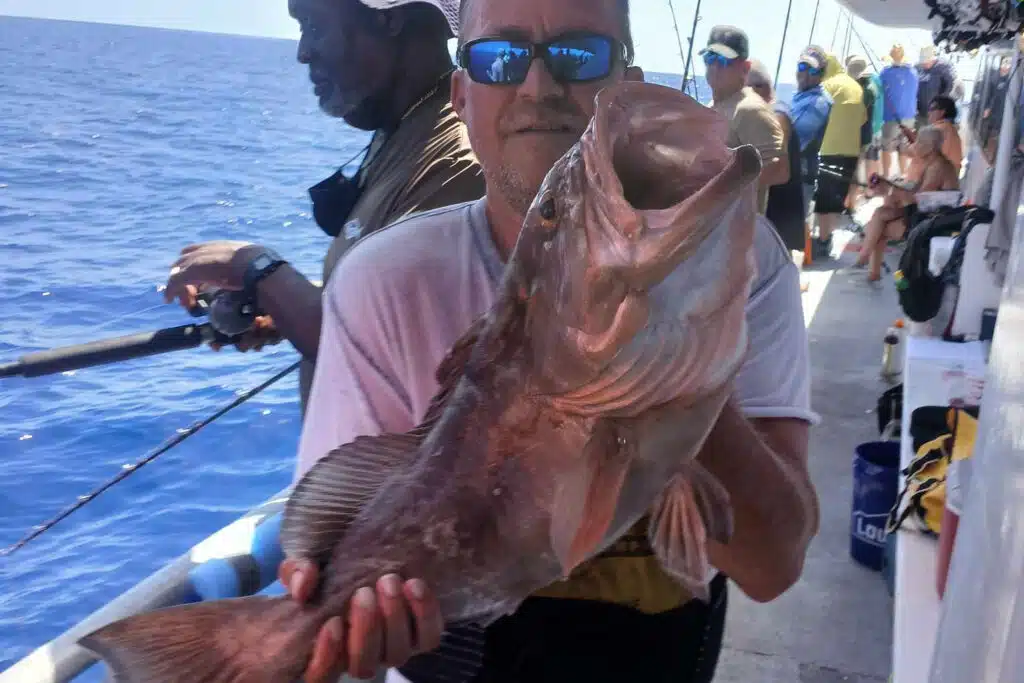 OFFSHORE-redgrouper