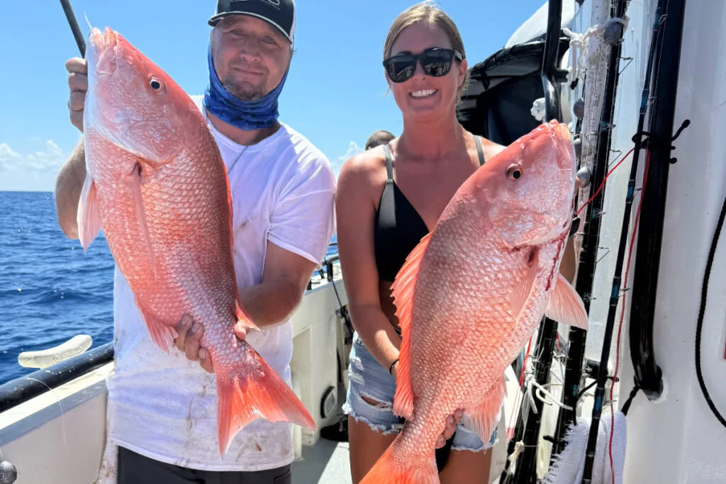 OFFSHORE-redgrouper
