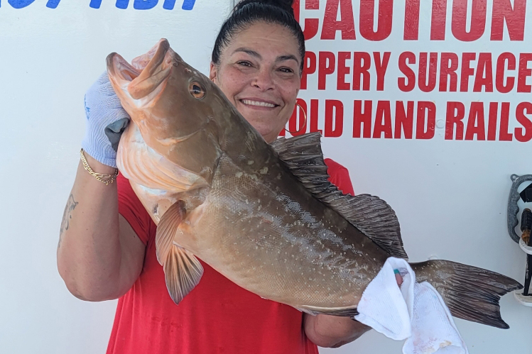 OFFSHORE-redgrouper