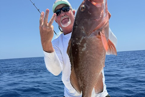 OFFSHORE-redgrouper