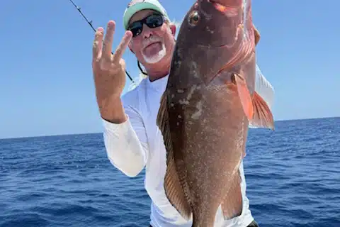 OFFSHORE-redgrouper