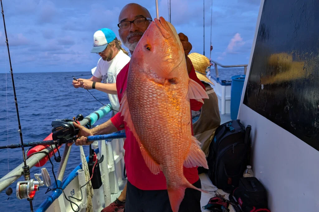 OFFSHORE-redsnapper