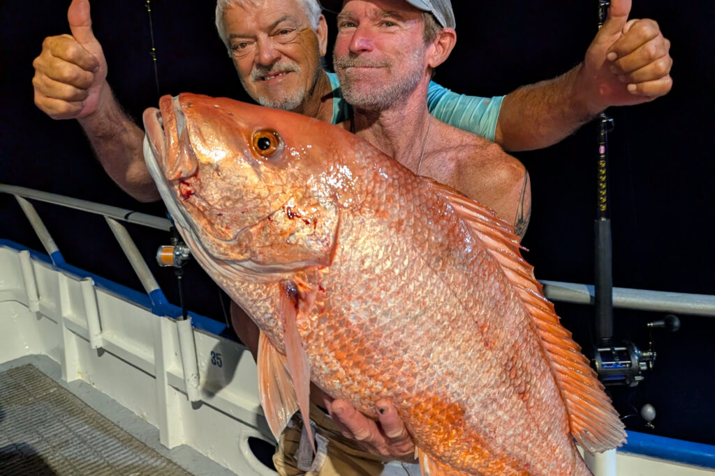OFFSHORE-redsnapper (4)