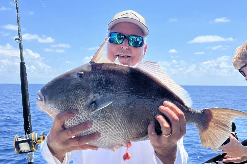 OFFSHORE-triggerfish (1)