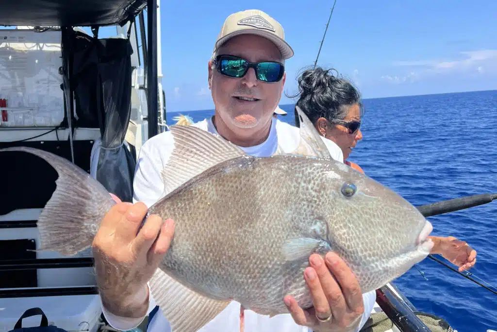 OFFSHORE-triggerfish