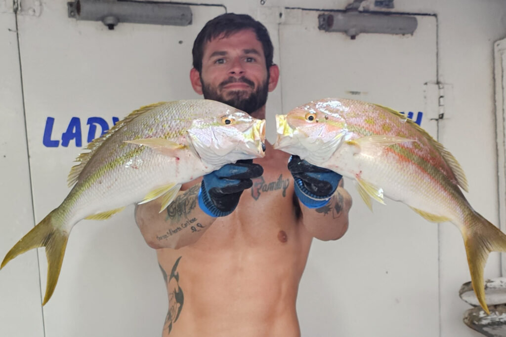 OFFSHORE - yellowtail