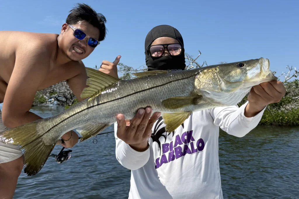 INSHORE-snook (1)