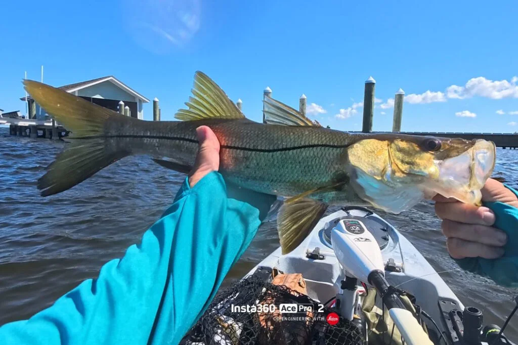 INSHORE-snook3