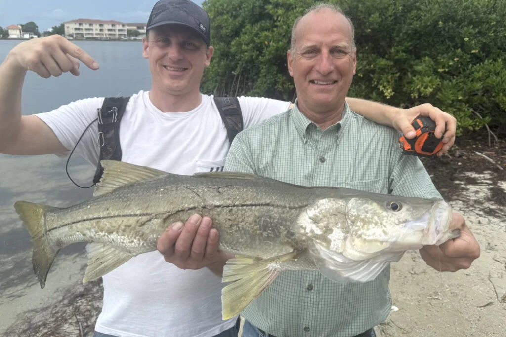INSHORE-snook3