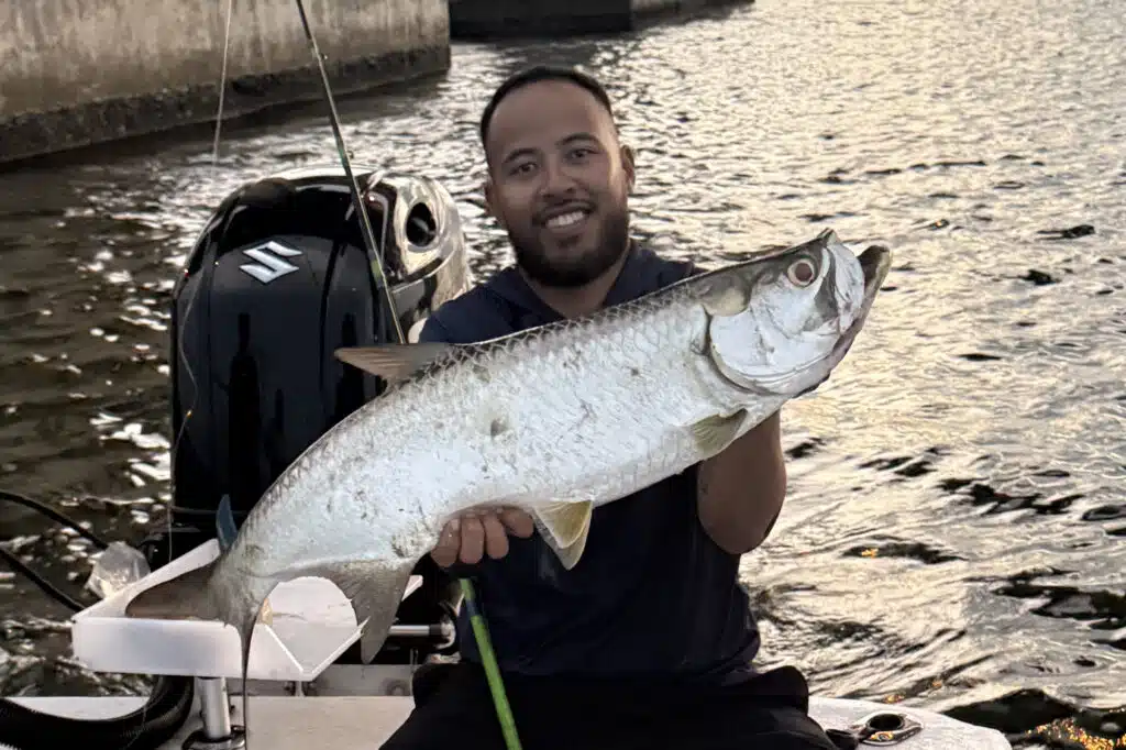 INSHORE-tarpon