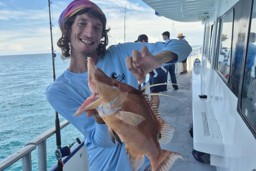 NEARSHORE-hogfish (1)
