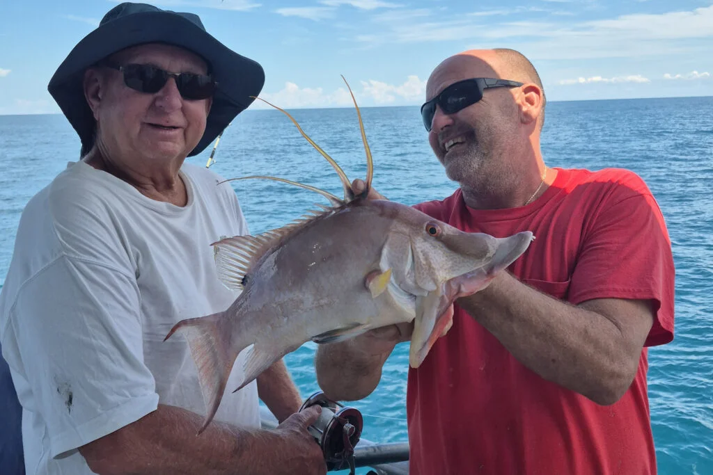 NEARSHORE-hogfish (2)