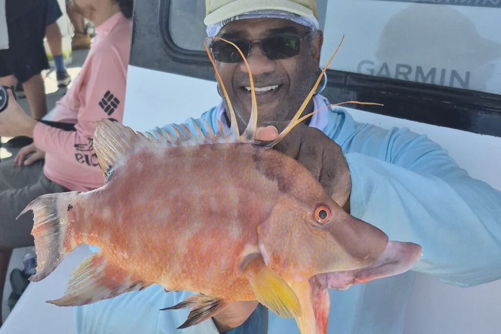 NEARSHORE-hogfish (3)