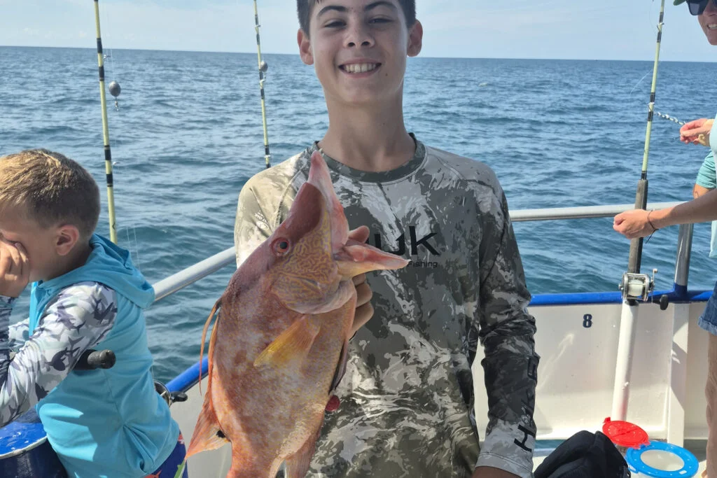 NEARSHORE-hogfish (4)