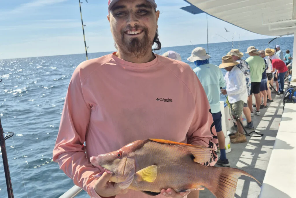 NEARSHORE-hogfish (5)