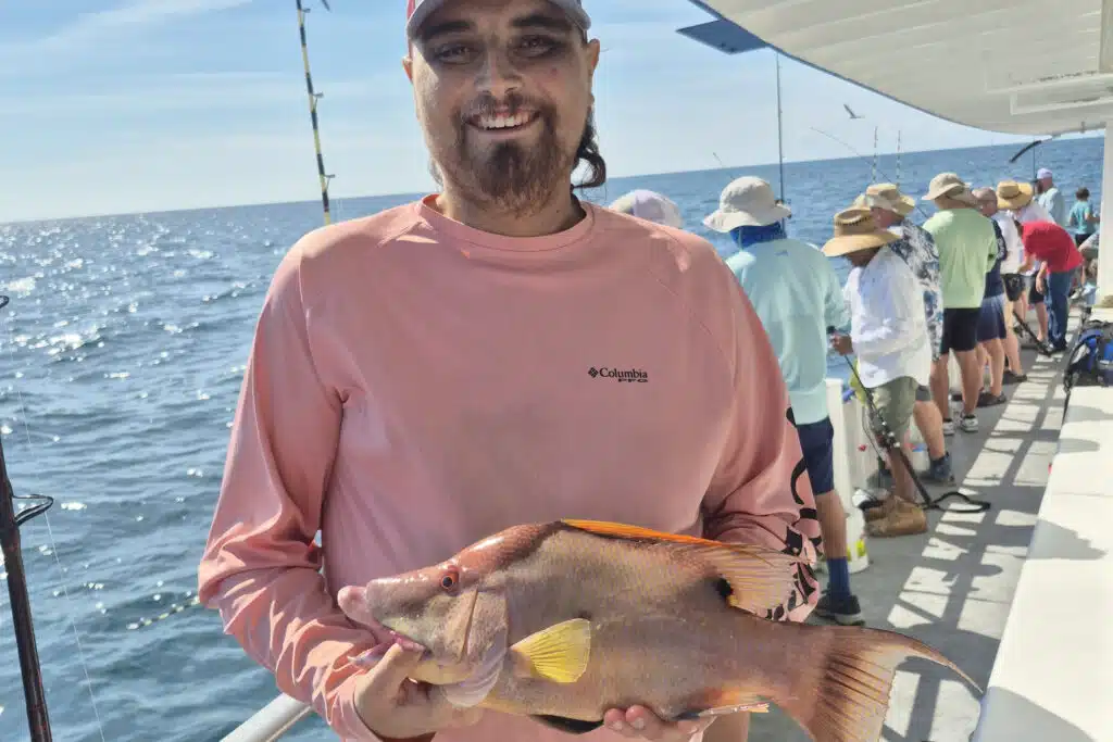 NEARSHORE-hogfish (5)