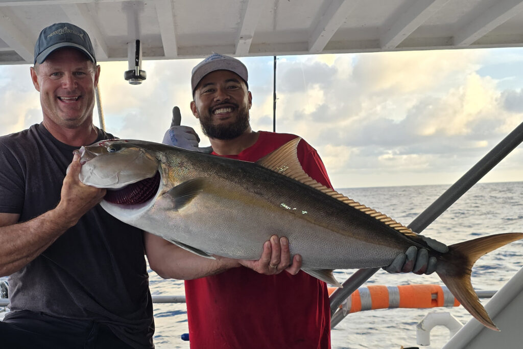 OFFSHORE - amberjack 2