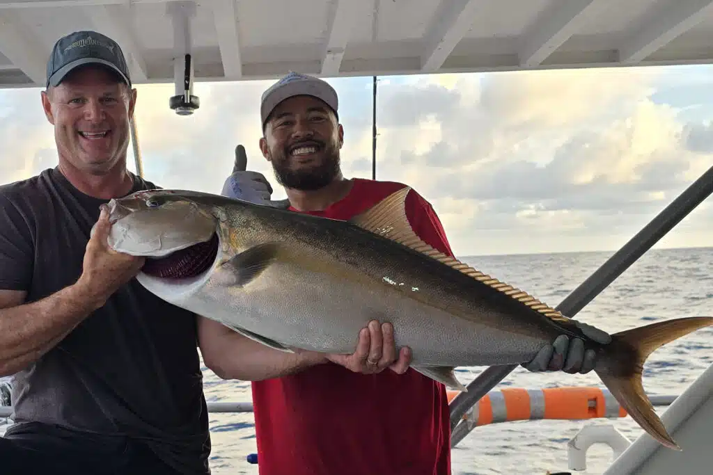 OFFSHORE - amberjack 2