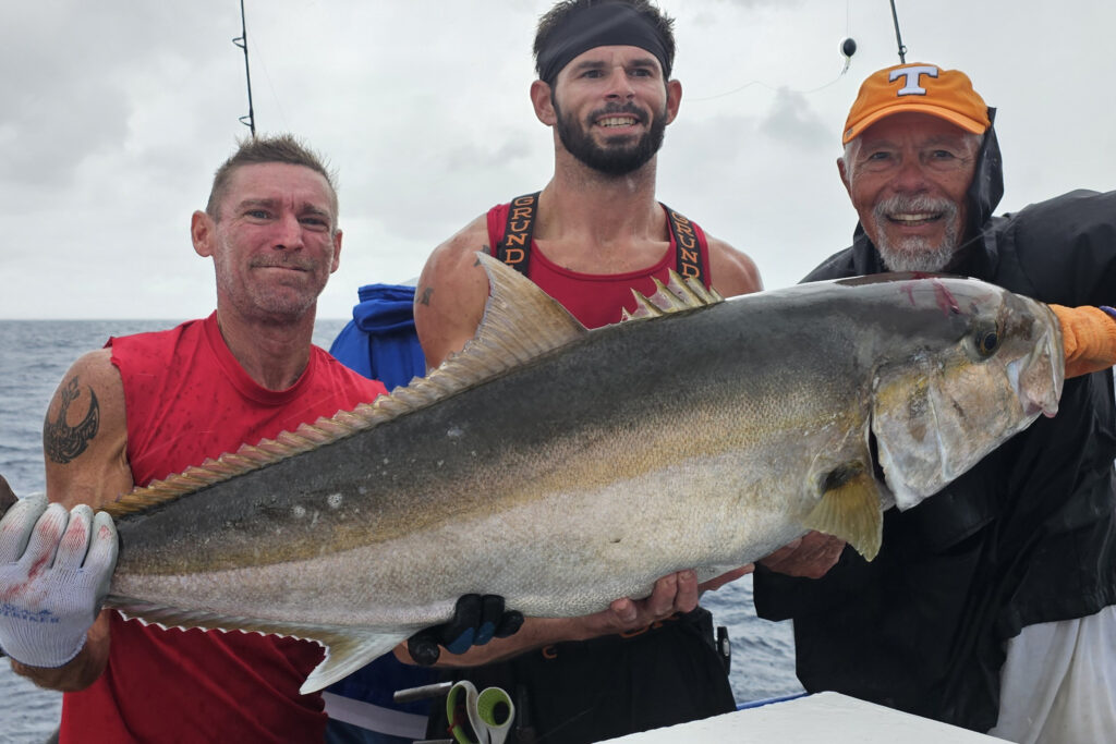 OFFSHORE - amberjack 23