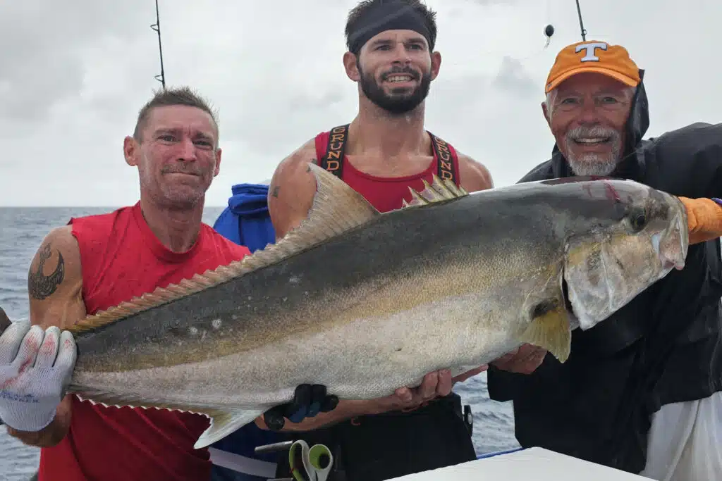 OFFSHORE - amberjack 23