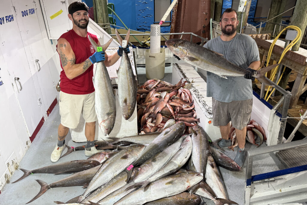 OFFSHORE-amberjack-pile-best