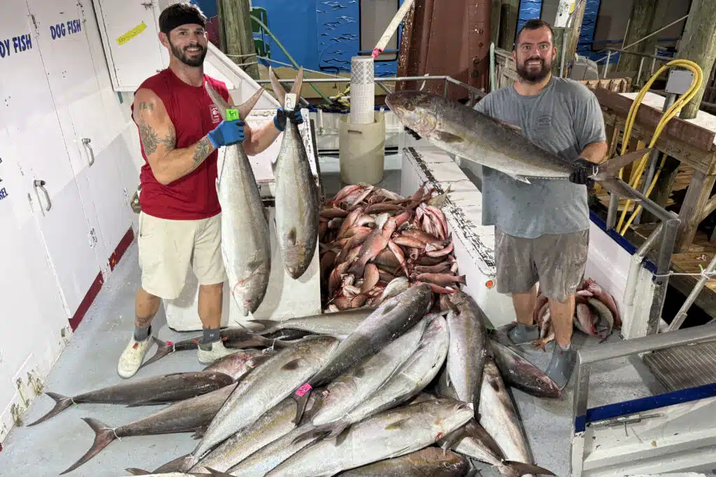 OFFSHORE-amberjack-pile-best