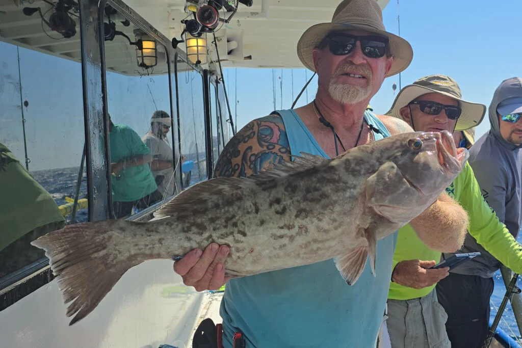 OFFSHORE - gag grouper 23