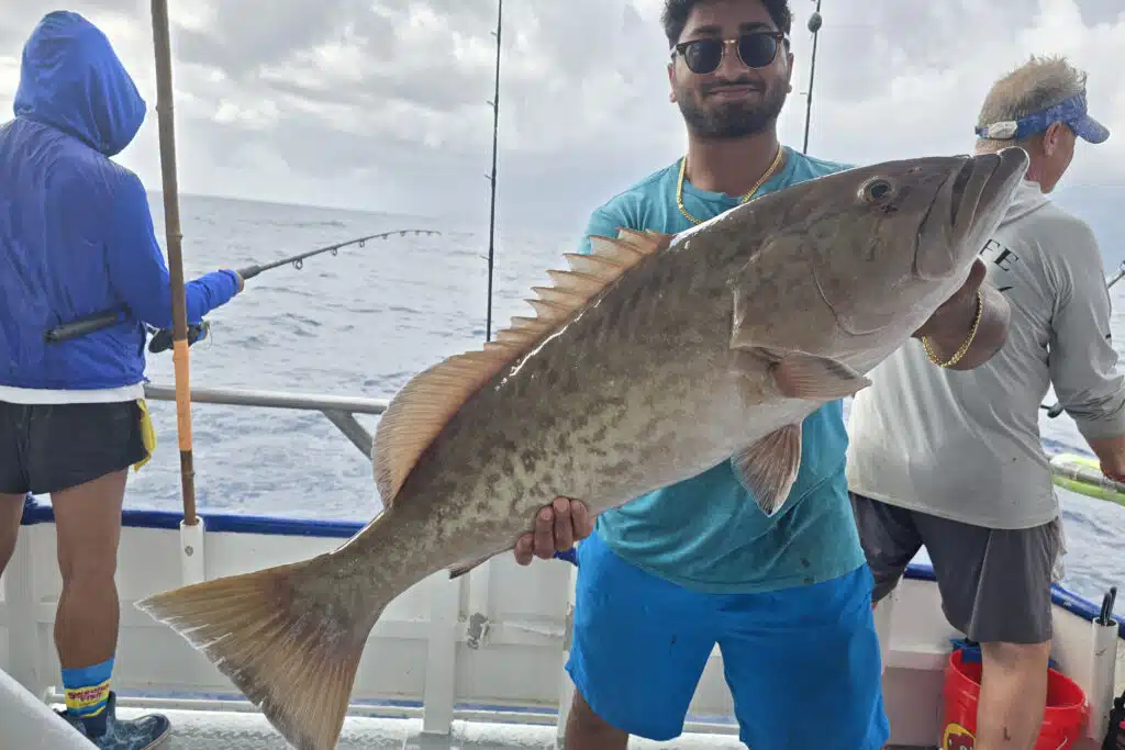 OFFSHORE - gag grouper 24