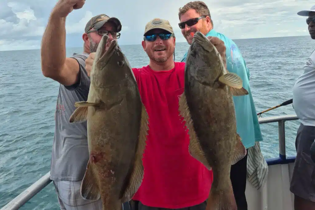 OFFSHORE-gaggrouper (1)