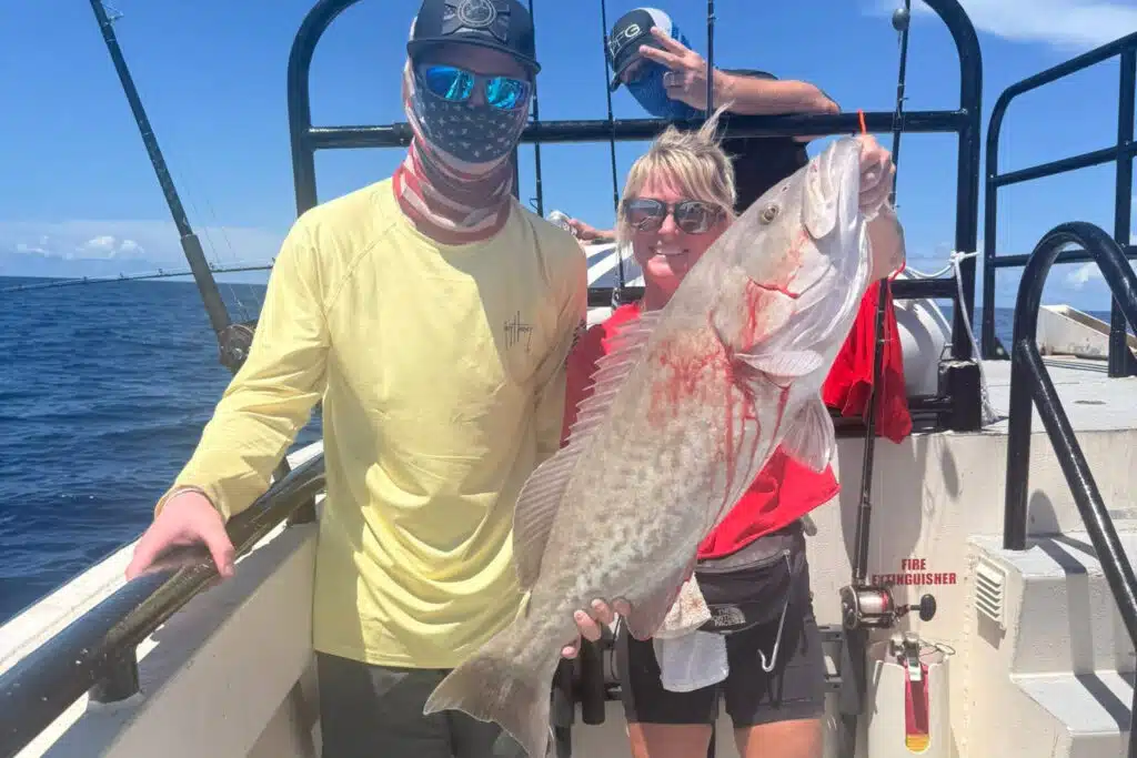 OFFSHORE-gaggrouper (2)