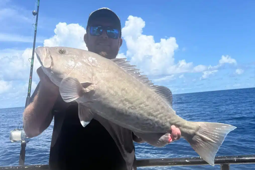 OFFSHORE-gaggrouper (3)