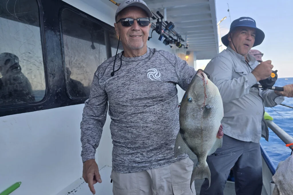 OFFSHORE - gray trigger1