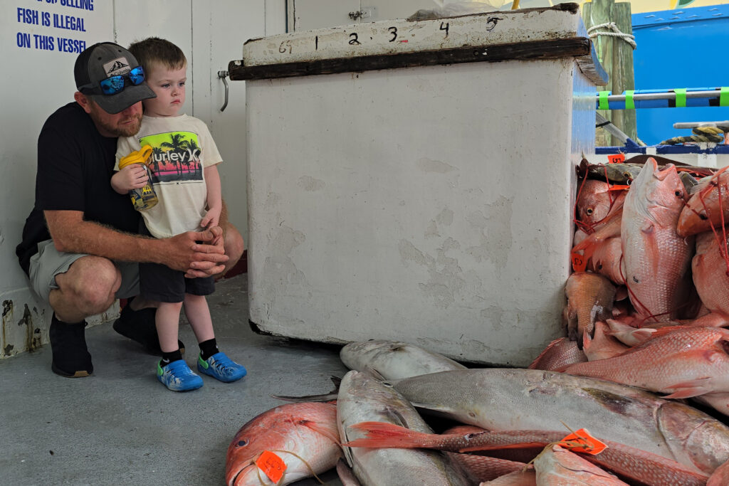 OFFSHORE - pile of fish